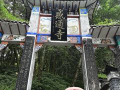 -苍山感通索道