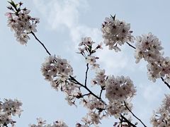 -龙美术馆(西岸馆)