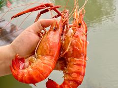 -欢乐蟹庄·精品农家乐(阳澄湖莲花岛店)