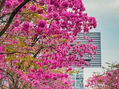 -万科前海企业公馆