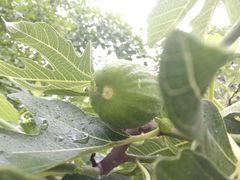 -孙家面馆(小康城店)