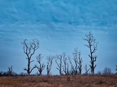 -汉长安城未央宫国家考古遗址公园