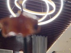 -凤栖酒店