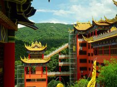 -东莞市大岭山森林公园
