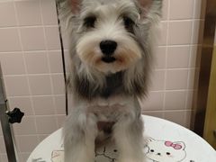 -FAELING PETS美天灵宠物(富力广场店)