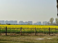 -汉长安城未央宫国家考古遗址公园