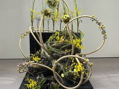 -深圳国际园林花卉博览园