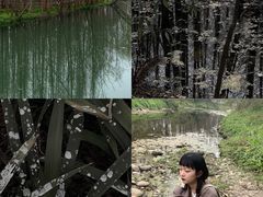 -桤木河湿地公园