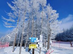 -密苑云顶乐园(云顶滑雪场)
