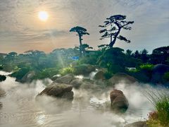 -罗红摄影艺术馆