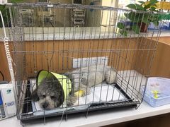 -联合动物医院(光谷诊疗中心)