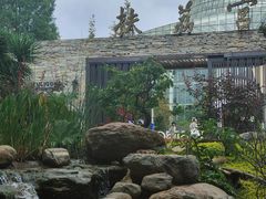 -昆明植物园