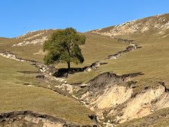 -克什克腾世界地质公园青山景区