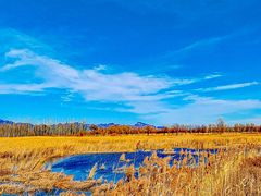 -野鸭湖国家湿地公园