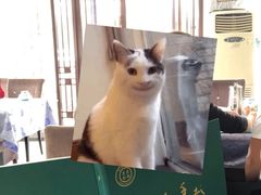 -老毛手抓·盐池滩羊非遗手抓(宁夏总店)