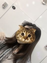 -蜜堂美业 