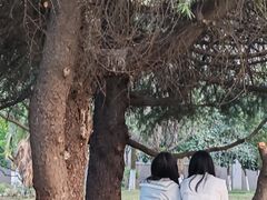 -西安外国语大学(长安校区)