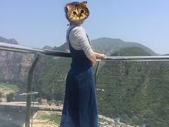 -十渡高山漂流