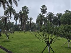 -圣爵菲斯大酒店(长沙世界之窗店)