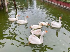 -水车博览园