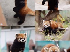 -泉州海丝野生动物世界