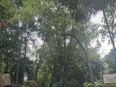 -伊岭岩风景区