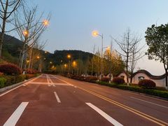 -铁山坪森林公园