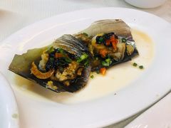 豉汁蒸海带子-新金盛·海鲜酒楼(盐田店)