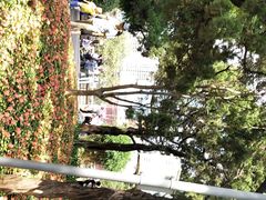 -昆明动物园