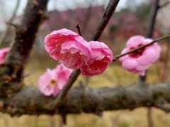 -三门江国家森林公园