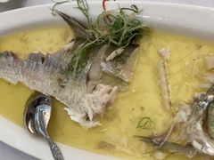 -丰收日·小海鲜·沪上家宴(顾村正大店)