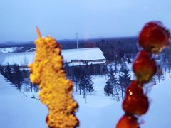 -长白山万达喜来登度假酒店