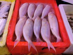 -芦潮港集贸市场