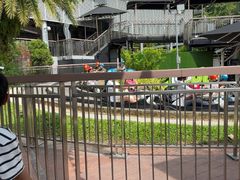-圣淘沙天际线斜坡滑车