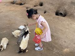 -前小桔亲子创意农场·草莓采摘·露营烧烤