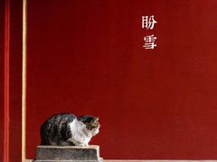 -素满香·素食自助餐(西安·民乐园店)