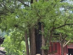 -红螺寺