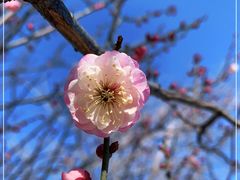 -鹫峰国家森林公园