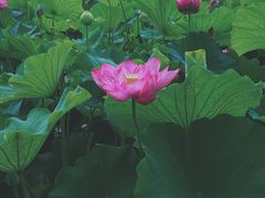 -黄兴公园