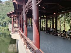 -重庆彩云湖湿地公园