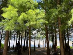 -大理洱海