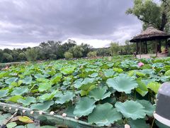 -承德避暑山庄景区