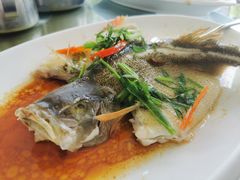 -八仔大富楼·河鲜(西江店)