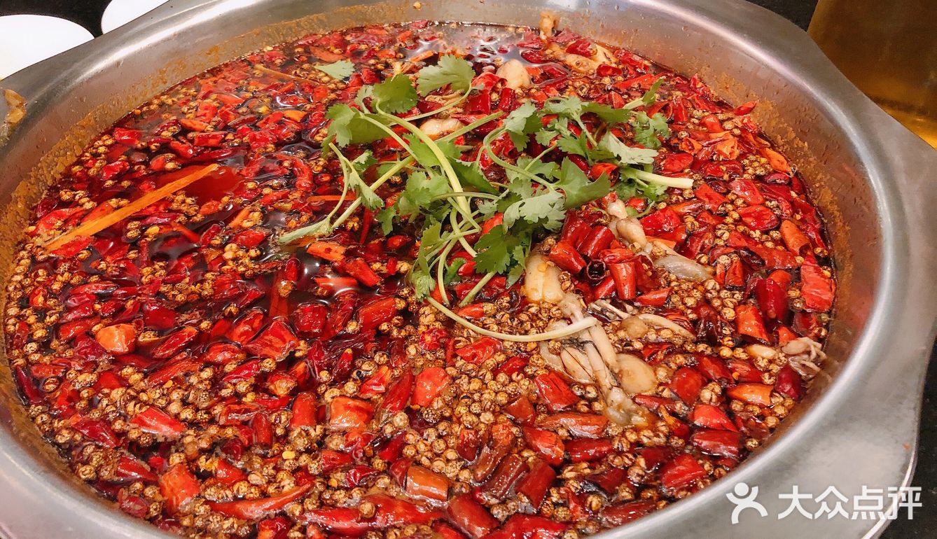 美蛙鱼头打卡 滴