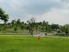 -白鹭湾湿地公园