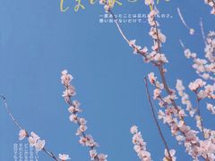 -三里河公园