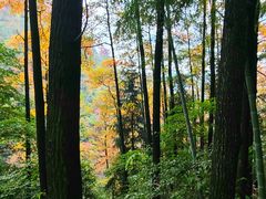 -藏龙百瀑风景区