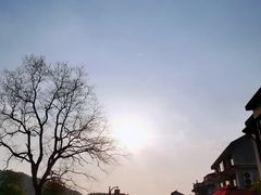 -树山生态村