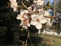 -西安交通大学(雁塔校区)