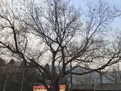 -香山公园-东宫门售票处